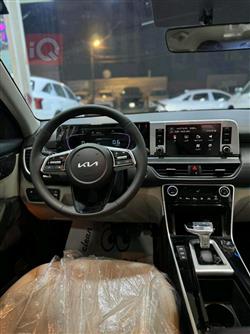 کیا سێلتۆس